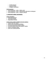 Konspekts 'Iekšējais audits', 33.