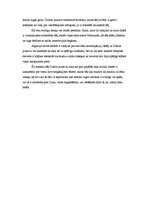 Konspekts 'Aspazija "Sidraba šķidrauts". Dzelzs jaunavas tēla analīze', 5.