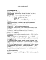 Konspekts 'Sēdvolejbols', 2.