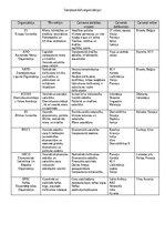 Konspekts 'Starptautiskās organizācijas', 1.