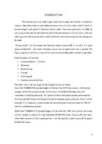 Biznesa plāns 'Business Plan "Hotel Roxana"', 4.