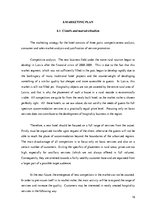 Biznesa plāns 'Business Plan "Hotel Roxana"', 16.