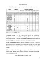 Biznesa plāns 'Business Plan "Hotel Roxana"', 20.