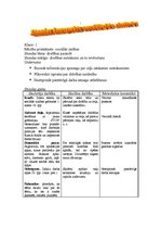 Konspekts 'Stundas konspekts sociālajās zinībās', 1.