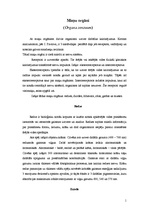 Konspekts 'Maņu orgāni', 1.