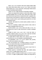 Konspekts 'Maņu orgāni', 4.