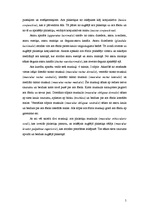 Konspekts 'Maņu orgāni', 5.