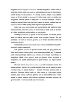 Konspekts 'Maņu orgāni', 7.