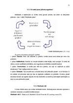 Referāts 'Mūžizglītība jeb pieaugušo izglītība', 22.