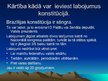 Prezentācija 'Brazīlijas konstitūcija', 4.
