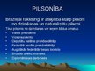 Prezentācija 'Brazīlijas konstitūcija', 5.
