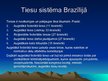 Prezentācija 'Brazīlijas konstitūcija', 10.