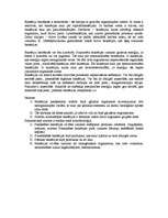 Konspekts 'Monēru valsts', 2.