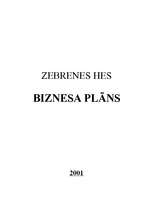 Biznesa plāns 'Zebrenes HES', 1.