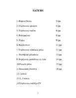 Biznesa plāns 'Zebrenes HES', 2.