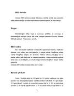 Biznesa plāns 'Zebrenes HES', 4.