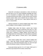 Biznesa plāns 'Zebrenes HES', 8.