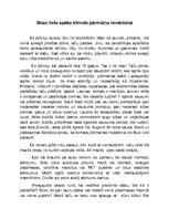 Eseja 'Mazo lietu spēks klimata pārmaiņu novēršanā', 1.