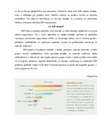 Referāts 'Sociālais fonds', 10.