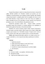 Referāts 'Starptautisko pārvadājumu ietekme uz vidi', 3.