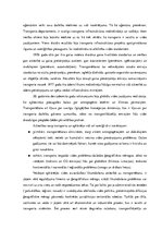 Referāts 'Starptautisko pārvadājumu ietekme uz vidi', 5.