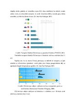 Referāts 'Starptautisko pārvadājumu ietekme uz vidi', 8.