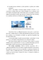 Referāts 'Starptautisko pārvadājumu ietekme uz vidi', 38.