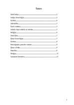 Referāts 'Kultūra un sadzīve Senajā Indijā', 2.