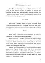 Referāts 'Kultūra un sadzīve Senajā Indijā', 9.