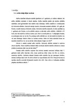Referāts 'Arābu kaligrāfija', 4.