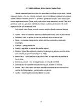 Referāts 'Septiņas mūžības mīklas Austras Skujiņas dzejā', 13.