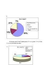 Referāts 'Septiņas mūžības mīklas Austras Skujiņas dzejā', 25.