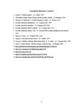 Referāts 'Septiņas mūžības mīklas Austras Skujiņas dzejā', 31.