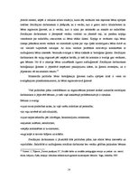 Referāts 'Sociālais darbs ar audžuģimenēm', 14.