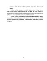 Referāts 'Sociālais darbs ar audžuģimenēm', 22.