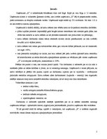 Referāts 'Motivējošs vienas dienas ceļojums', 2.