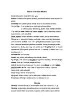 Konspekts 'Režisors pirmsrežijas laikmetā', 1.