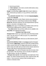 Konspekts 'Režisors pirmsrežijas laikmetā', 4.