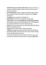 Konspekts 'Režisors pirmsrežijas laikmetā', 9.