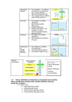 Konspekts 'Fizioloģija', 2.