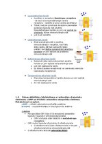 Konspekts 'Fizioloģija', 3.