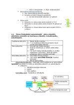 Konspekts 'Fizioloģija', 5.