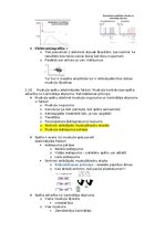 Konspekts 'Fizioloģija', 12.