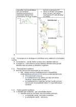 Konspekts 'Fizioloģija', 17.