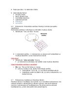 Konspekts 'Fizioloģija', 19.