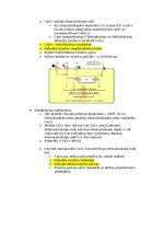 Konspekts 'Fizioloģija', 24.