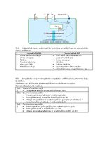 Konspekts 'Fizioloģija', 25.