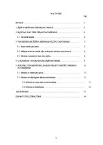 Referāts 'Vingrinājumi šķēpa mešanas tehnikas kļūdu labošanai', 2.