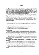 Referāts 'Vingrinājumi šķēpa mešanas tehnikas kļūdu labošanai', 3.
