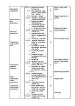 Paraugs 'Sporta stundas konspekts 7.klasei rotaļās', 2.